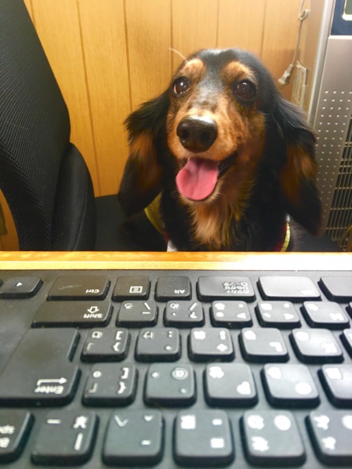 FullSizeRender のコピー 2